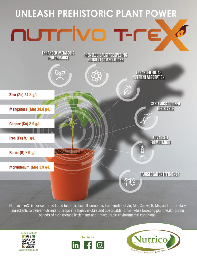 0371 Nutrivo T-reX Ad V1 WEB