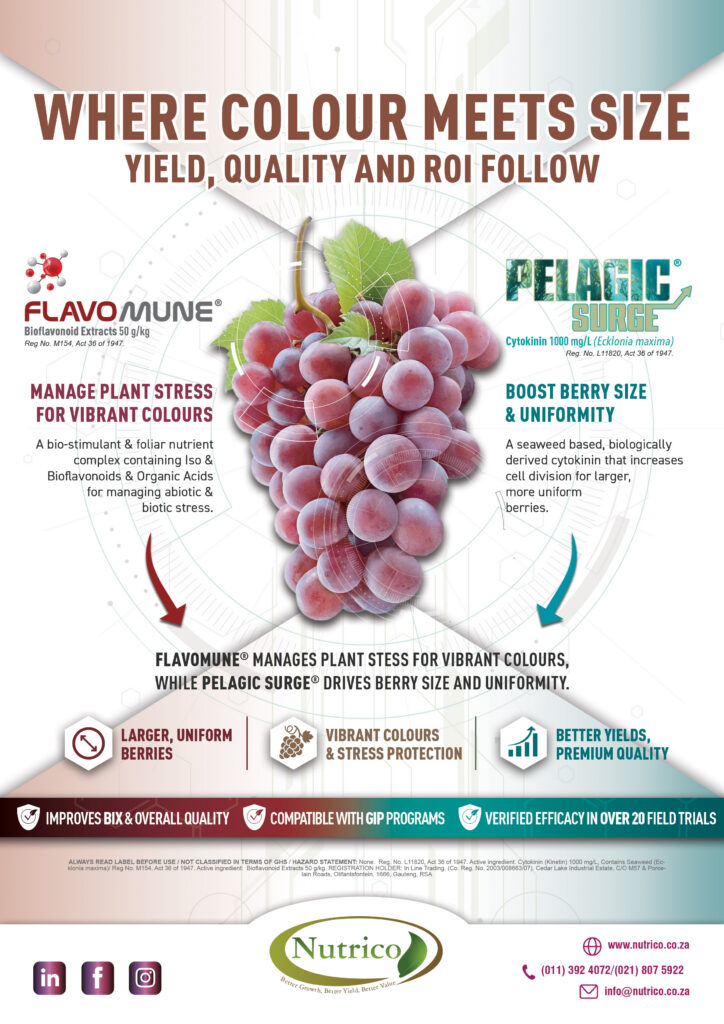 Flavomune Pelagic Combined Ad v2